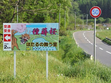 種蒔桜入り口にある看板です