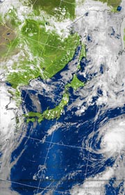 �Q�O�P�P�D�O�W�D�O�V�@�P�Q��