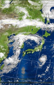 �Q�O�P�P�D�O�W�D�P�R�@�P�R��