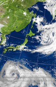 �Q�O�P�P�D�O�W�D�Q�V�@�P�Q��