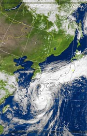 �Q�O�P�P�D�O�X�D�Q�O�@�P�R��