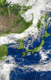 �Q�O�P�P�D�P�O�D�O�X�@�P�R��