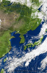 �Q�O�P�P�D�P�O�D�P�W�@�P�R��