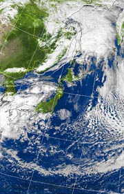 �Q�O�P�P�D�P�P�D�O�Q�@�P�Q��