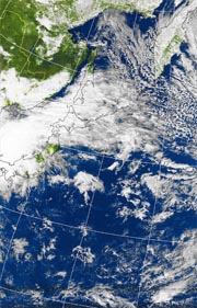 �Q�O�P�P�D�P�P�D�O�T�@�P�Q��