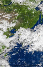 �Q�O�P�P�D�P�P�D�O�U�@�P�R��