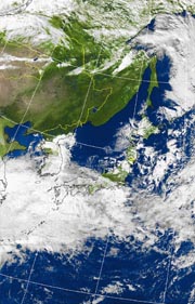 �Q�O�P�P�D�P�P�D�O�X�@�P�R��