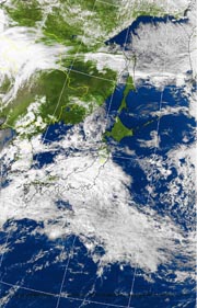 �Q�O�P�P�D�P�P�D�P�P�@�P�Q��