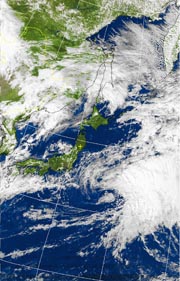 �Q�O�P�P�D�P�P�D�P�Q�@�P�Q��