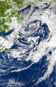 �Q�O�P�P�D�P�P�D�P�T�@�P�Q��