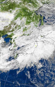 �Q�O�P�P�D�P�P�D�P�X�@�P�R��