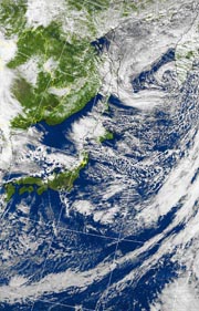 �Q�O�P�P�D�P�P�D�Q�Q�@�P�Q��