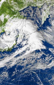 �Q�O�P�P�D�P�P�D�Q�S�@�P�Q��