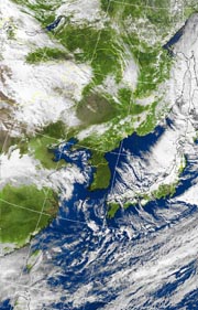 �Q�O�P�P�D�P�P�D�Q�T�@�P�R��