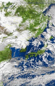 �Q�O�P�P�D�P�P�D�Q�U�@�P�R��