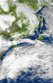 �Q�O�P�P�D�P�P�D�Q�W�@�P�R��