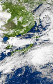 �Q�O�P�P�D�P�P�D�Q�X�@�P�Q��