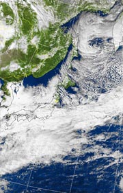 �Q�O�P�P�D�P�Q�D�O�P�@�P�Q��