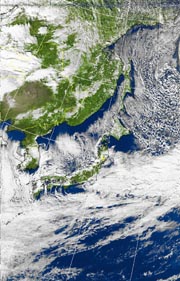 �Q�O�P�P�D�P�Q�D�O�X�@�P�R��