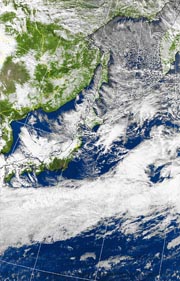 �Q�O�P�P�D�P�Q�D�P�P�@�P�Q��