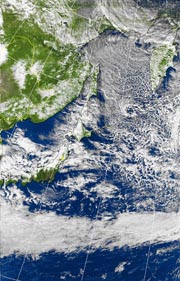 �Q�O�P�P�D�P�Q�D�P�Q�@�P�Q��