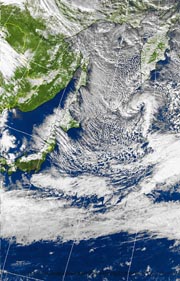 �Q�O�P�P�D�P�Q�D�P�R�@�P�Q��