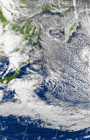 �Q�O�P�P�D�P�Q�D�P�S�@�P�Q��