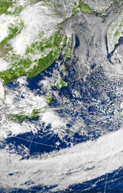 �Q�O�P�P�D�P�Q�D�Q�P�@�P�Q��