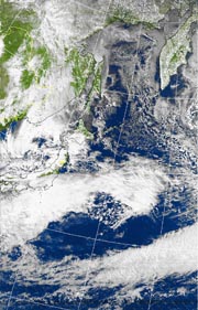 �Q�O�P�P�D�P�Q�D�Q�Q�@�P�Q��