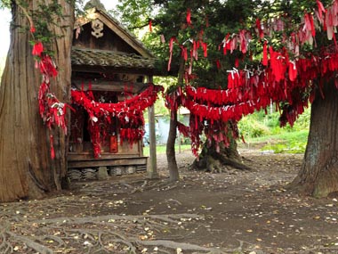 祠正面から周囲の木々に結ばれた赤い布。