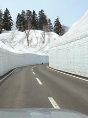 ＮＯ．１８９　２０１１年八幡平・雪の回廊