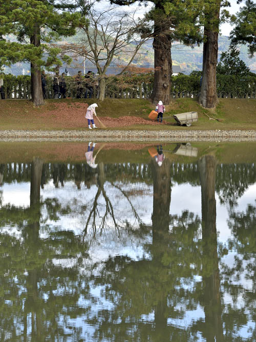 大泉が池東端にあるカエデの落ち葉を集めている様子の水鏡。