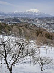 NO.255　岩山展望台から見た岩手山