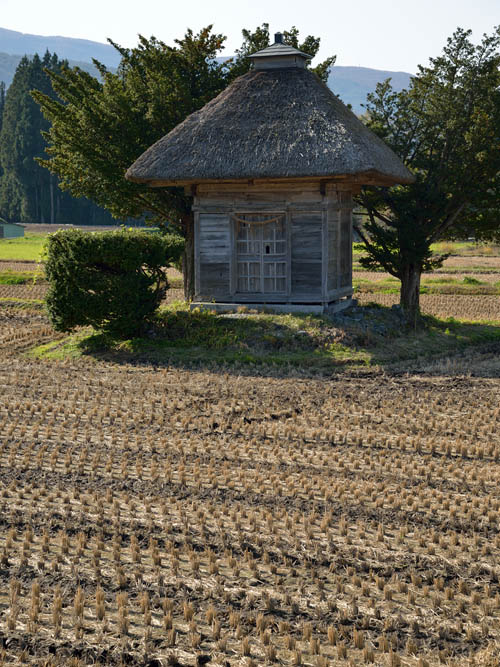 整然と並ぶ稲株と荒神社、深まっていく秋をじっくりと感じます。